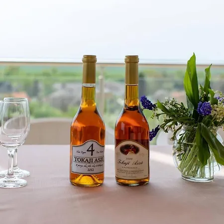 Aszuvilag Rezidencia With Sauna & Jacuzzi Legyesbenye