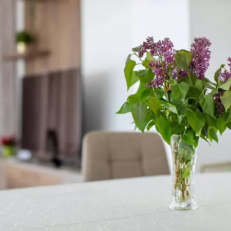 Вилла Aszuvilag Rezidencia With Sauna & Jacuzzi *