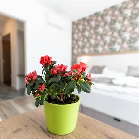 Aszuvilag Rezidencia With Sauna & Jacuzzi * Legyesbenye