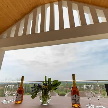 Вилла Aszuvilag Rezidencia With Sauna & Jacuzzi *