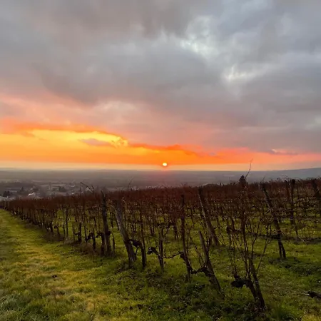 Aszuvilag Rezidencia With Sauna & Jacuzzi Вилла