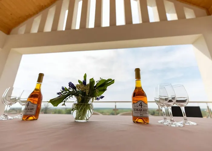 Aszuvilag Rezidencia With Sauna & Jacuzzi Legyesbenye