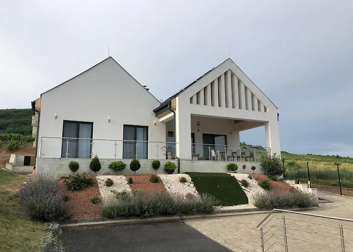 Aszuvilag Rezidencia With Sauna & Jacuzzi Vila